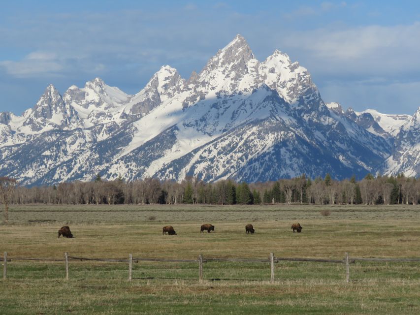 Grand Teton National Park: Full-Day Tour with Boat Ride - Who Should Book This Tour?