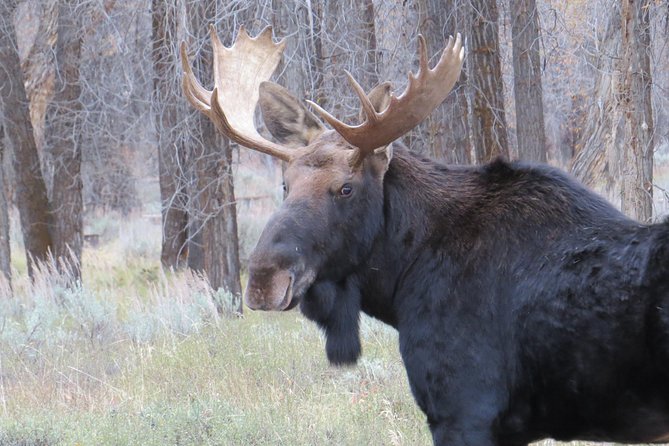Grand Teton National Park - Sunrise Tour from Jackson Hole - Why the 6:30 a.m. start matters