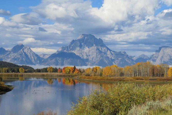 Grand Teton National Park - Sunrise Tour from Jackson Hole - Oxbow Bend: reflections and bird life
