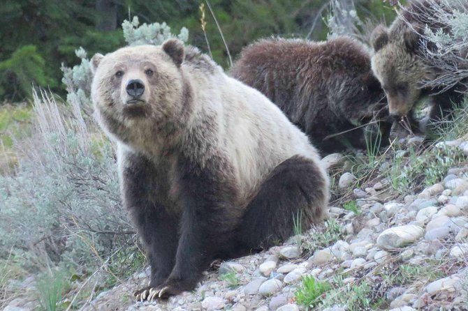 Grand Teton National Park - Sunrise Tour from Jackson Hole - Breakfast makes the early departure easier
