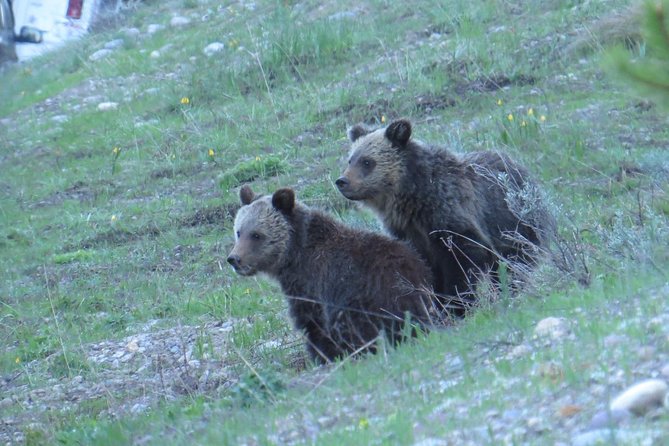 Grand Teton National Park - Sunrise Tour from Jackson Hole - Starting with the Teton Range