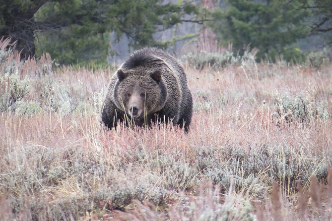 Grand Teton National Park - Sunset Guided Tour from Jackson Hole - Jenny Lake Overlook