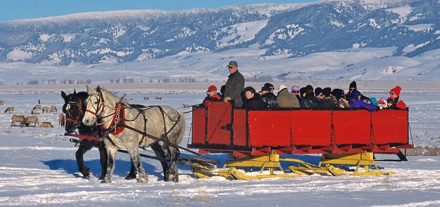 Grand Teton National Park: Wildlife Tour and Sleigh Ride - The Park Fee for Non-U.S. Residents