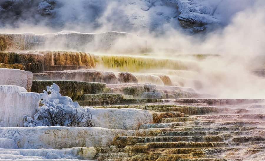 Grand Teton,Yellowstone National Park 3-Day Tour from SLC - Key points to know before booking