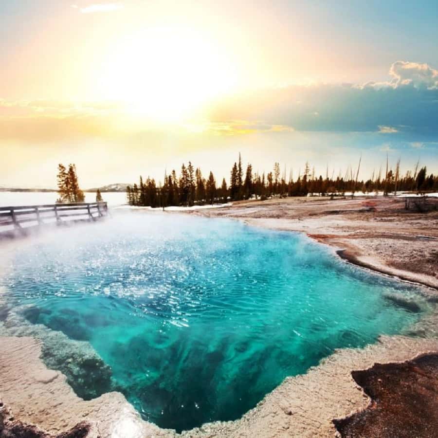 Grand Teton,Yellowstone National Park 3-Day Tour from SLC - The non-US visitor surcharge changes the math