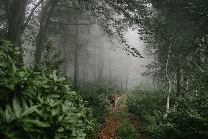 Group Hiking Tour in Mtirala National Park - The drive matters as much as the hike