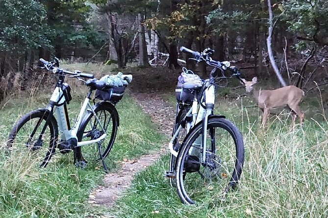 Guided Ebike Tour of Acadia National Park Carriage Roads - Beaver ponds and the ride toward Eagle Lake