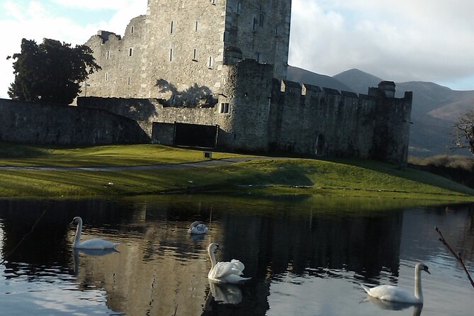 Guided Killarney National Park Walking Tour - Loch Léin, deer, and quieter paths