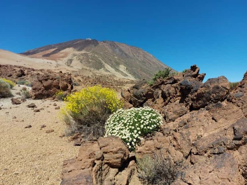 Guided tour of Roques de Garcia - Teide National Park - Walking through the Roques de García