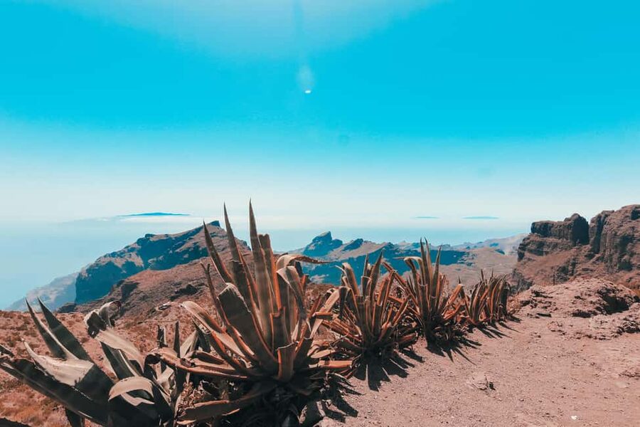 Guided tour of Roques de Garcia - Teide National Park - Crossing the Llanos de Ucanca