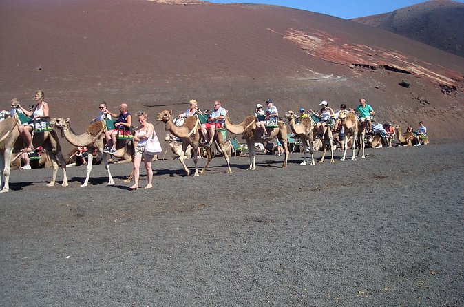 Guided tour: Timanfaya National Park and La Geria with pick-up - The guides and the style of the tour
