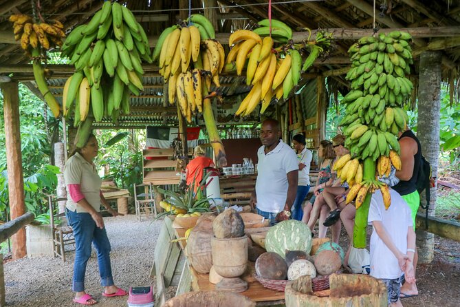 Haitises National Park and Montaña Redonda (Full Day) - Why this Punta Cana day trip is worth considering