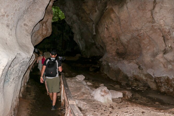 Haitises National Park and Montaña Redonda (Full Day) - Los Haitises by riverboat