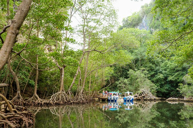 Haitises National Park and Montaña Redonda (Full Day) - Jungle walking and the active side of the tour