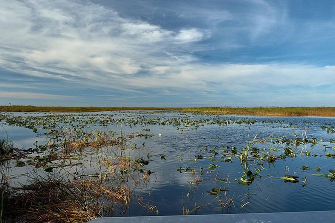 Half-day Everglades National Park Tour and 1-Hour Air Boat Ride - The Tamiami Trail puts the wetlands in context