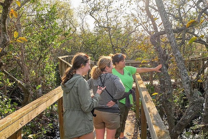 Half-day Everglades National Park Tour and 1-Hour Air Boat Ride - Guides make the difference
