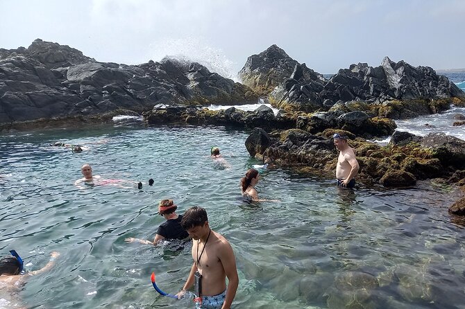 Half Day Hike at Arikok National Park & Snorkel - Sea grape trees and Daimari Beach