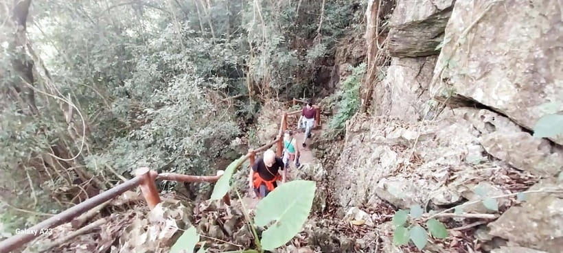 Half Day Hiking to Cat Ba National Park with a Guide - Practical ways to enjoy it more
