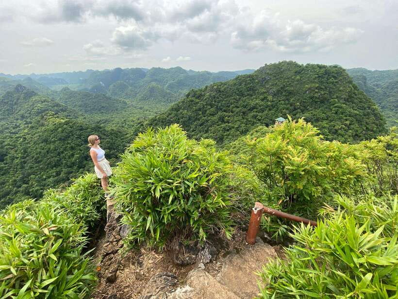 Half Day Hiking to Cat Ba National Park with a Guide - Why this four-hour Cat Ba tour works so well