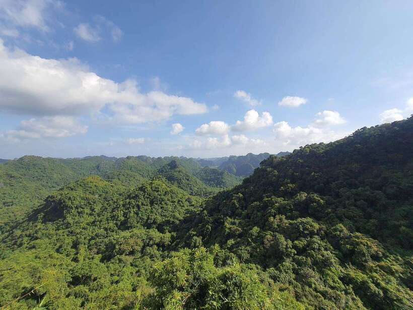 Half Day Hiking to Cat Ba National Park with a Guide - What you notice in Cat Ba National Park