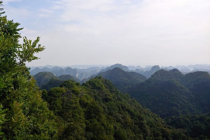Half Day Hiking to Discover Cat Ba National Park with a Guide - Key points to know before you go