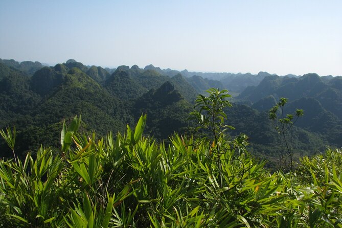 Half Day Hiking to Discover Cat Ba National Park with a Guide - A half-day that connects war history with wild forest