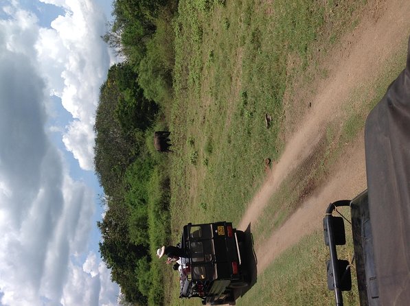 Half Day - Minneriya National Park Safari Tour From Habarana/Sigiriya - Why Minneriya is the focus