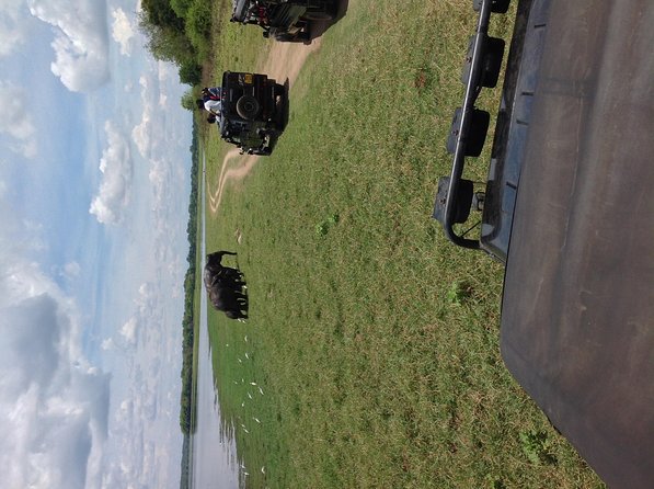 Half Day - Minneriya National Park Safari Tour From Habarana/Sigiriya - The 4x4 ride inside Minneriya National Park