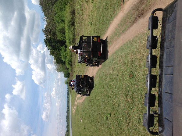 Half Day - Minneriya National Park Safari Tour From Habarana/Sigiriya - Who will get the most from this safari
