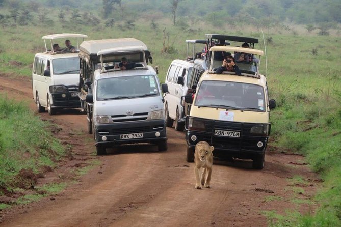 Half-Day Nairobi National Park Safari from Nairobi with Free Pickup - Who should book this Nairobi safari