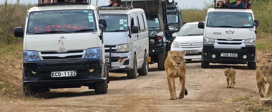 Half day Nairobi National Park with free pick up - Key points to know before booking