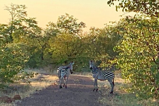 Half-Day Nature Walk in Mosi-oa-Tunya National Park from Livingstone - Trees, birds, and animals beyond the Big Five