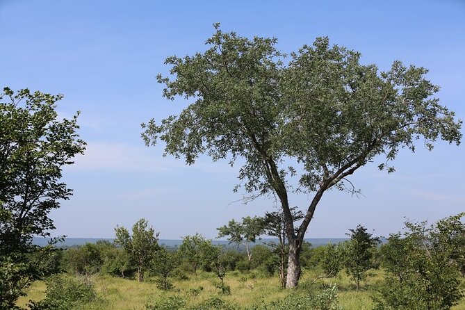 Half-Day Nature Walk in Mosi-oa-Tunya National Park from Livingstone - The $90 cost and what you get for it