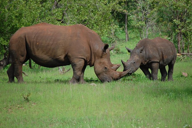 Half-Day Nature Walk in Mosi-oa-Tunya National Park from Livingstone - Who should choose this nature walk