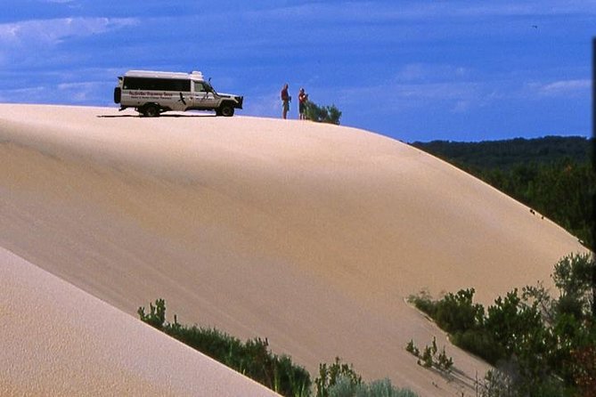 Half-Day Pemberton National Parks Beach and Forest Eco Adventure - Key points to know before booking