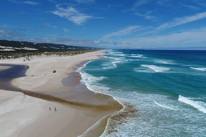 Half-Day Pemberton National Parks Beach and Forest Eco Adventure - D’Entrecasteaux National Park and Dead Man’s Lake