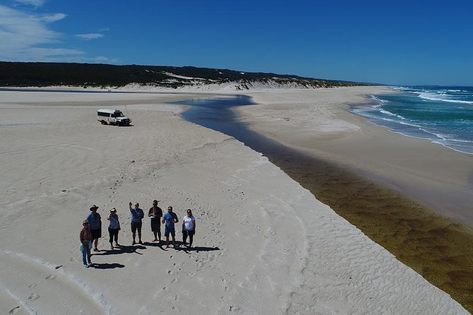 Half-Day Pemberton National Parks Beach and Forest Eco Adventure - Yeagarup Dunes, the tour’s most playful stop