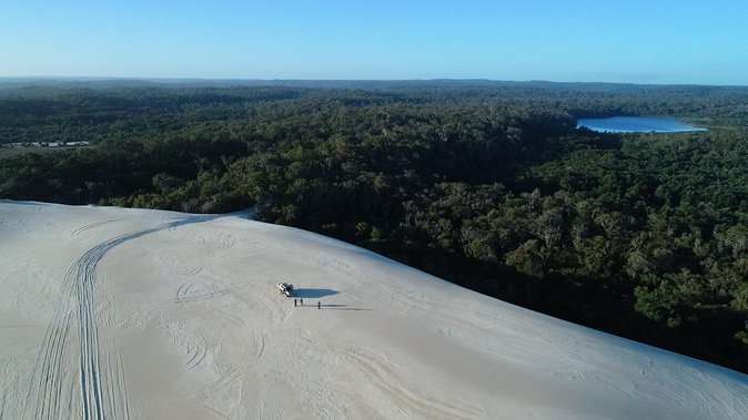 Half-Day Pemberton National Parks Beach and Forest Eco Adventure - A guide-led trip with room for questions