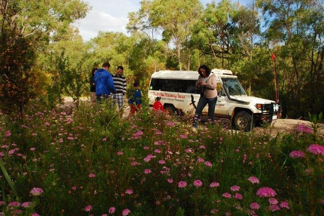 Half-Day Pemberton National Parks Beach and Forest Eco Adventure - What is included for the $118.35 price