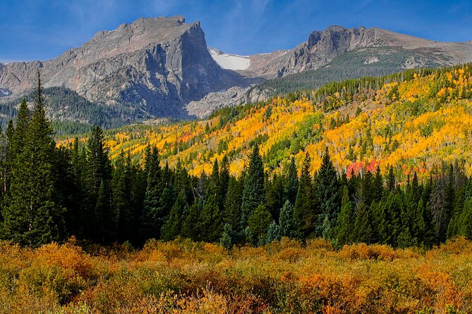 Half-Day Rocky Mountain National Park "Mountains to Sky Tour" - RMNPhotographer - Key things to know before you book