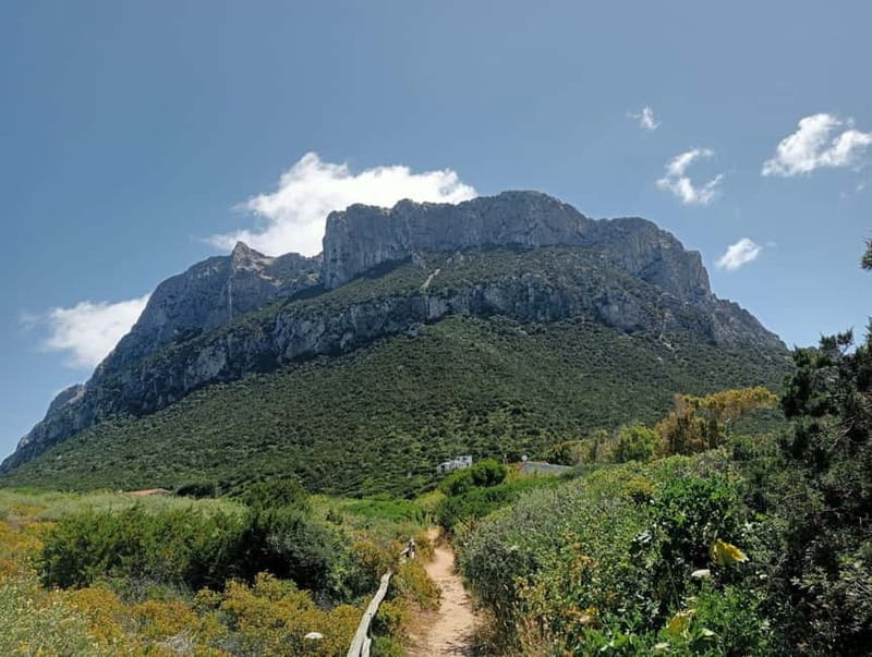 Half-day tour by dinghy in the Tavolara Marine Protected Area - Key points at a glance