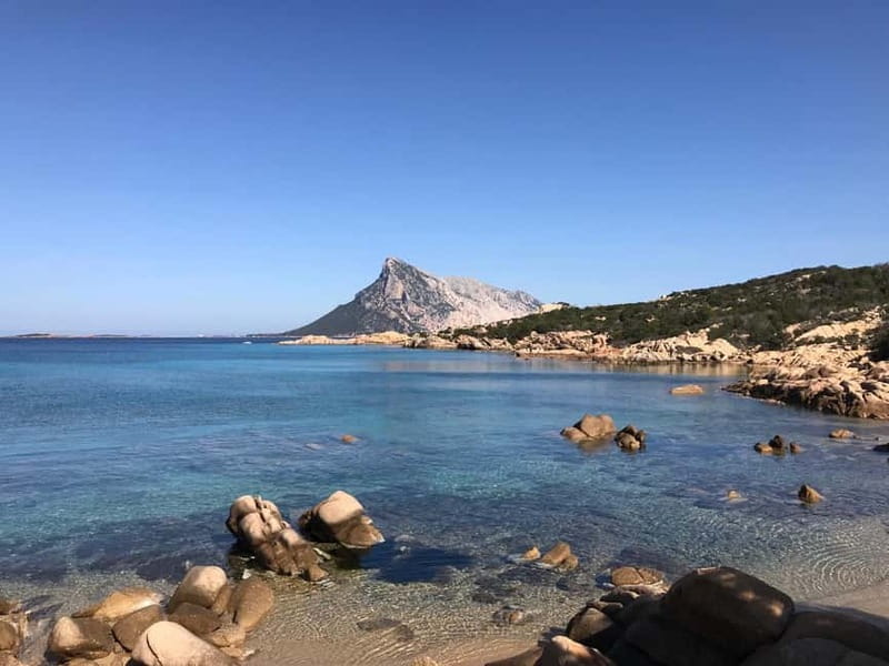 Half-day tour by dinghy in the Tavolara Marine Protected Area - Why this four-hour route works so well