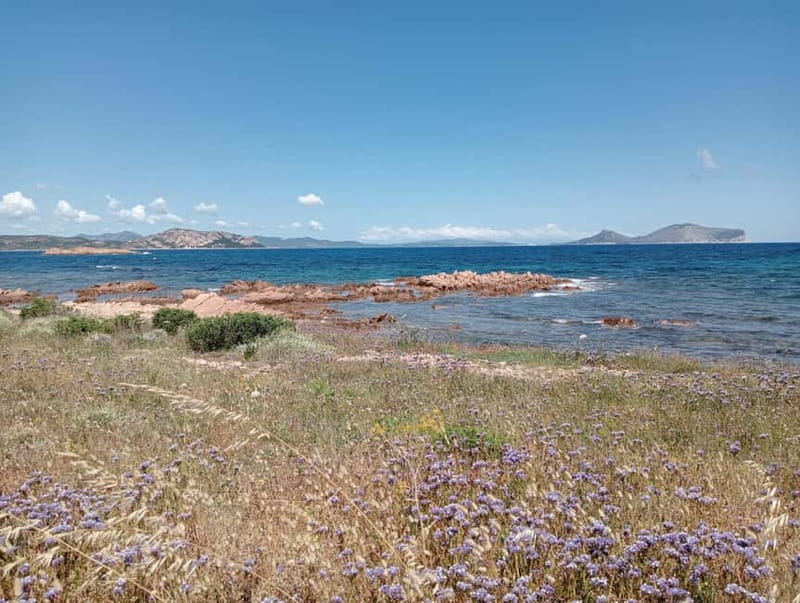 Half-day tour by dinghy in the Tavolara Marine Protected Area - Leaving Bados and reaching Capo Ceraso