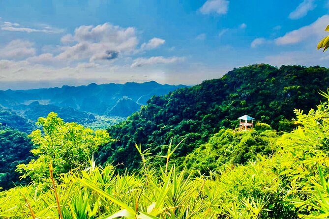 Half Day Trekking in Cat Ba National Park and Hospital Cave - Who should book this Cat Ba tour?