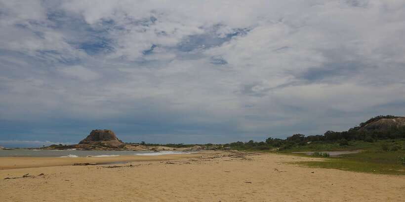 Hambantota: Yala National Park Wildlife Safari in a 4x4 - The $48 price is not the final price