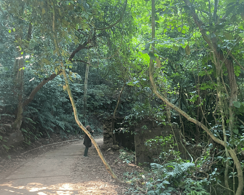 Hanoi Eco Tour: Ba Vi National Park Wonders & Tea Plantation - Leaving Hanoi for Ba Vi’s Pine Forest