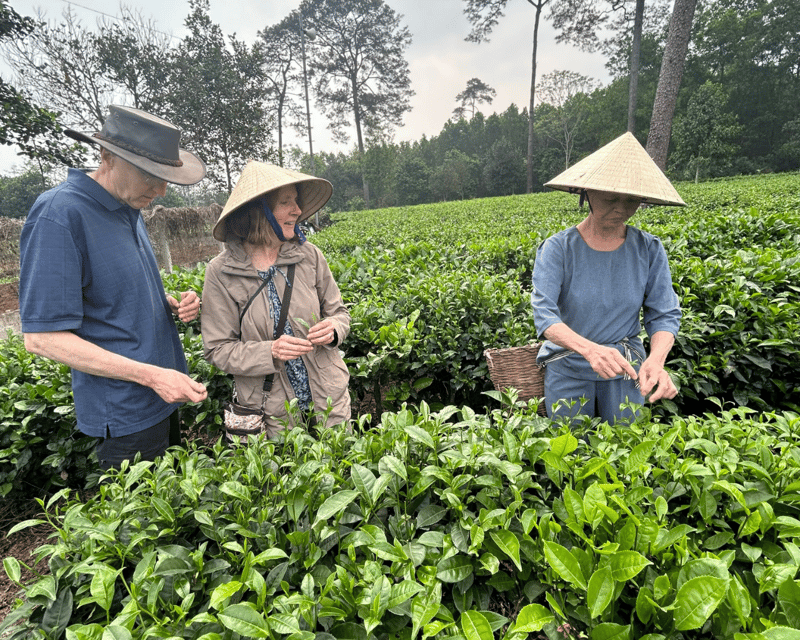 Hanoi Eco Tour: Ba Vi National Park Wonders & Tea Plantation - What to Bring and How to Prepare