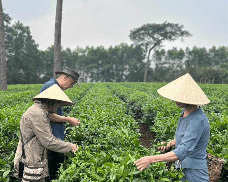 Hanoi Eco Tour: Ba Vi National Park Wonders & Tea Plantation - Lunch Among Ba Vi’s Mountain Flavors