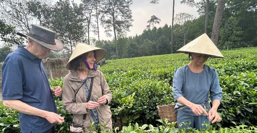 Hanoi Eco Tour: Ba Vi National Park Wonders & Tea Plantation - Climbing to Đền Thượng Above the Clouds