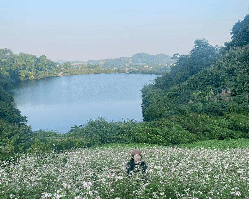 Hanoi Eco Tour: Ba Vi National Park Wonders & Tea Plantation - Private Transport, Timing, and Comfort
